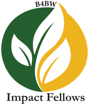 Impact Fellows Program Logo